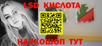 PSILOCYBIN Новокубанск
