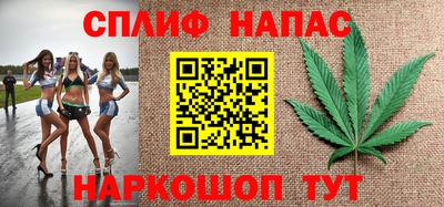 PSILOCYBIN Новокубанск