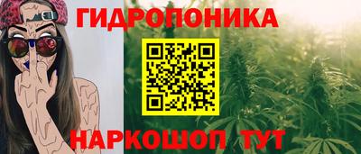 PSILOCYBIN Новокубанск