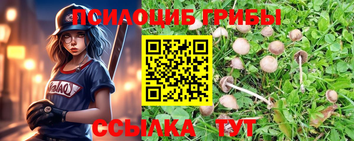 Галлюциногенные грибы мухоморы Тверь
