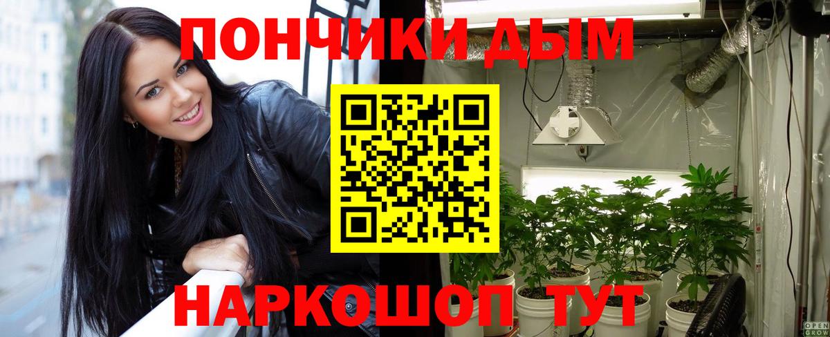 Тверь  Бошки Шишки планчик  Конопля ГИДРОПОН  Бошки марихуана конопля  Канабис ГИДРОПОН  Вход с VPN 